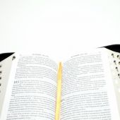 Библия каноническая 047 УZТI (черный кожаный переплет, золотой обрез, на молнии)